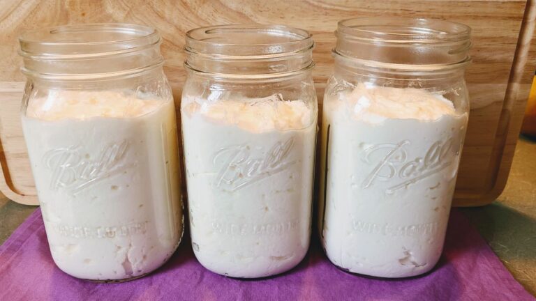 Easy And Healthy Instant Pot Yogurt: Plain and Vanilla