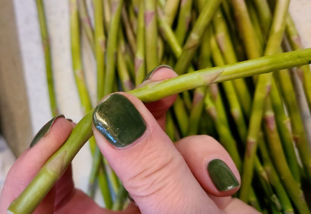 green painted thumbnail snapping an asparagus spear