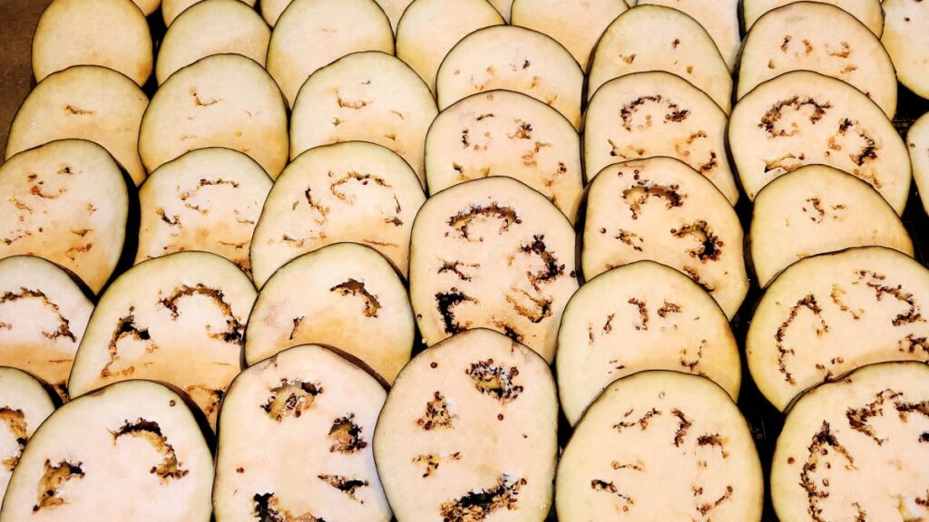 Sliced eggplants arranged in rows and salted to make Simple Lebanese chickpea and beef moussaka (maghmour).